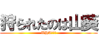 狩られたのは山葵 (UHA味覚糖)