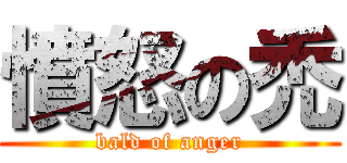 憤怒の禿 (bald of anger)