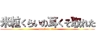 米粒くらいの耳くそ取れた (attack on titan)