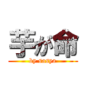 芋が命 (by sasya)