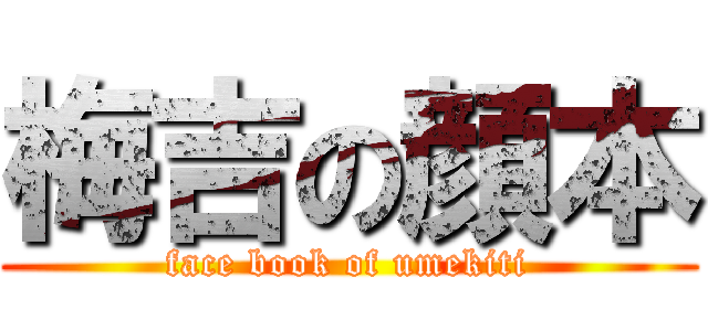 梅吉の顔本 (face book of umekiti)