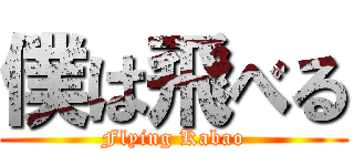 僕は飛べる (Flying Kabao)