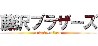 藤沢ブラザーズ (attack on titan)