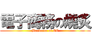 電子商務の燒炙 (Barbecue of EC)