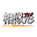 相似形 (QF Math)