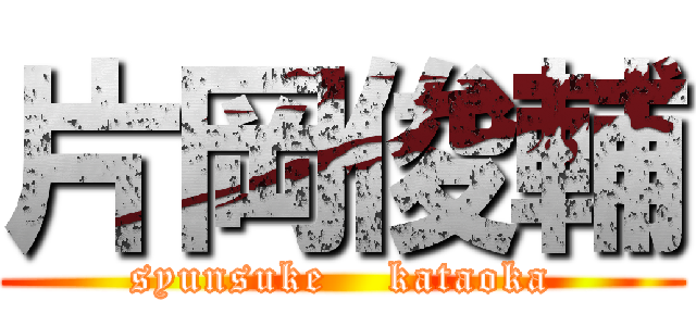 片岡俊輔 (syunsuke    kataoka)