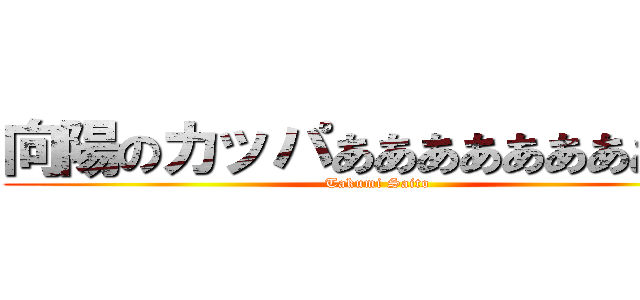 向陽のカッパああああああああああ (Takumi Saito)