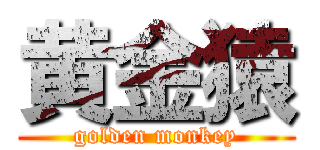 黄金猿 (golden monkey)