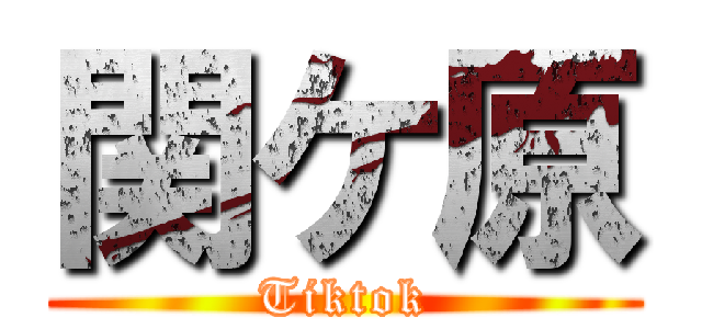 関ケ原 (Tiktok)