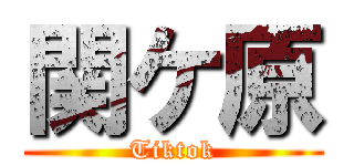 関ケ原 (Tiktok)