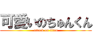 可愛いのちゅんくん (attack on titan)