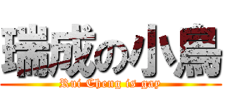 瑞成の小鳥 (Rui Cheng is gay)