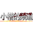 小楷的频道 (XiaoKai Channel)