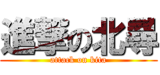 進撃の北尋 (attack on kita)