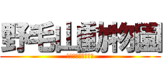 野毛山動物園 (要するに動物園です)