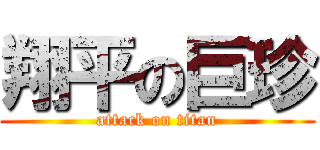 翔平の巨珍 (attack on titan)