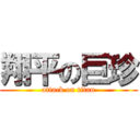 翔平の巨珍 (attack on titan)