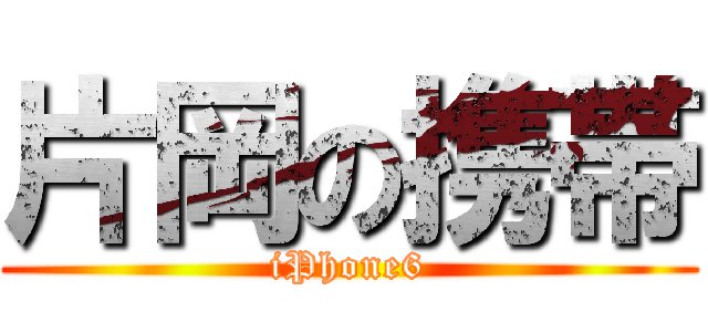 片岡の携帯 (iPhone6)