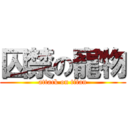 囚禁の寵物 (attack on titan)