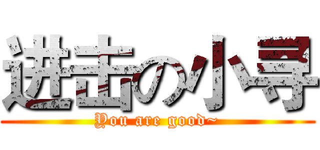 进击の小寻 (You are good~)