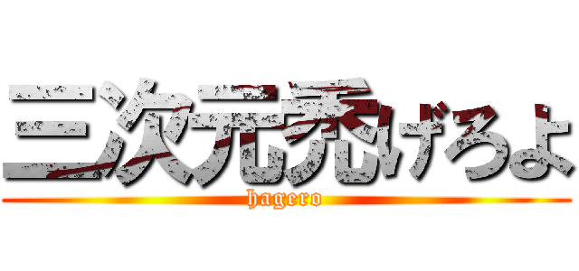 三次元禿げろよ (hagero)