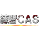 練習ＣＡＳ ()