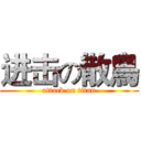 进击の散鳥 (attack on titan)