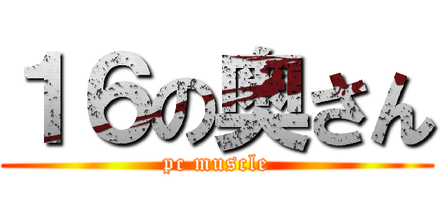 １６の奥さん (pc muscle)