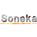 Ｓｏｎｅｋａ (King)