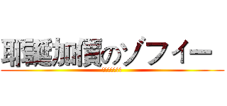 耶誕加價のゾフィー   (夜間加成太可怕)