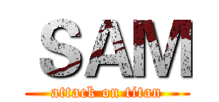 ＳＡＭ (attack on titan)