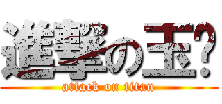 進撃の玉瑄 (attack on titan)