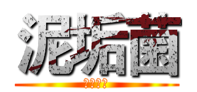 泥垢菌 (够够够够)