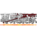 專業築家 (Professional construction)