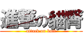 進撃の貓臀 (attack on butt)