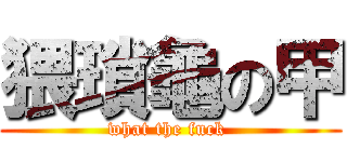 猥瑣龜の甲 (what the fuck )