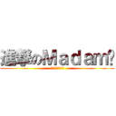 進撃のＭａｄａｍ郑 (请叫我陀枪师姐啊)