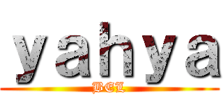 ｙａｈｙａ (BEL)