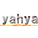 ｙａｈｙａ (BEL)
