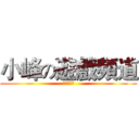 小峰の遊戲頻道 (我的字幕組)