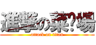 進撃の菜巿場 (attack on titan)