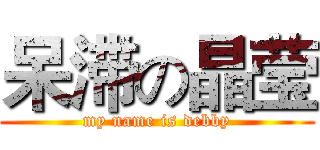 呆滞の晶莹 (my name is debby)