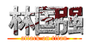 林国强 (attack on titan)