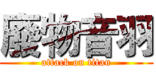 廢物音羽 (attack on titan)