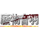 廢物音羽 (attack on titan)