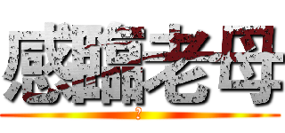 感臨老母 (是)