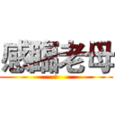 感臨老母 (是)