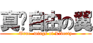 真·自由の翼 (True· wings of Liberty)