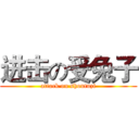 进击の受兔子 (attack on shoutuzi)