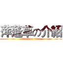 萍蓬草の介紹 (attack on titan)